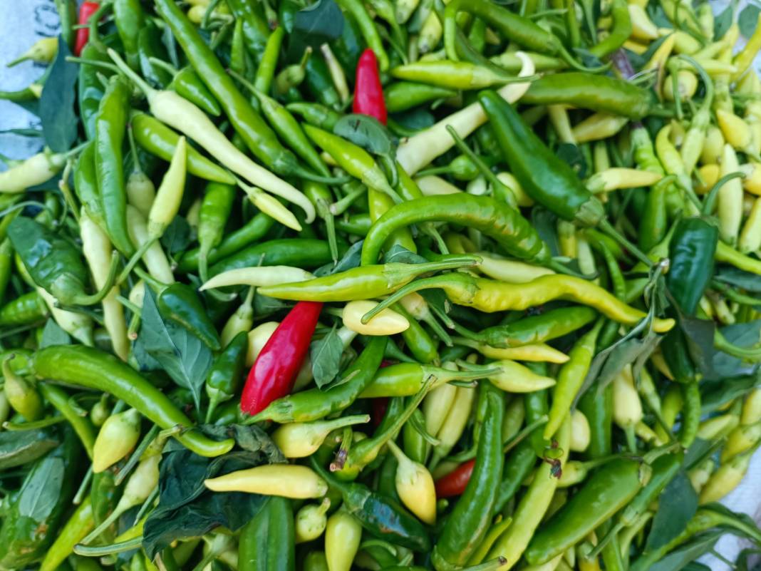 Konya’nın yüzde 100 yerli pazarı 28